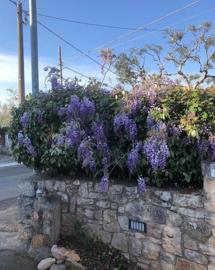 Trulli Nonna Graziella Villa Locorotondo Bagian luar foto
